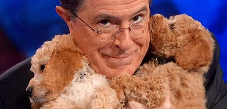 Stephen Colbert's Evolution on The Late Show