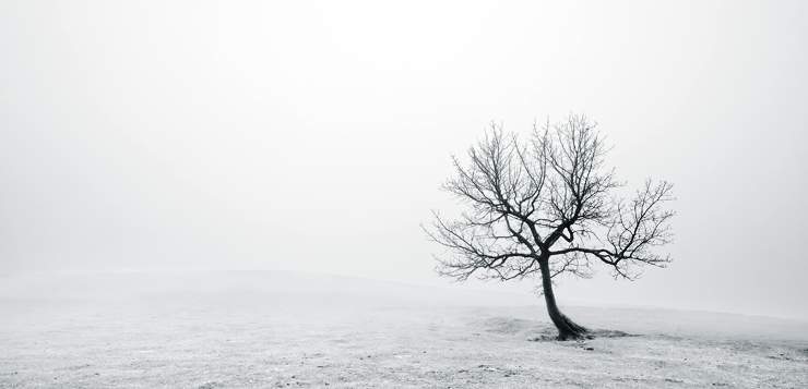 Stephen Levine's Mindfulness Teachings: A Gradual Awakening