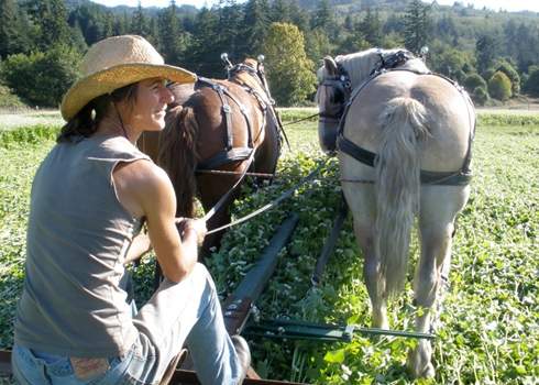 Sustainable Farming & CSA Models Explained