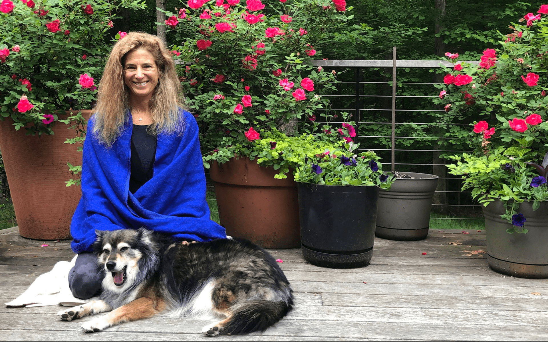 Tara Brach on Radical Compassion & Mindfulness