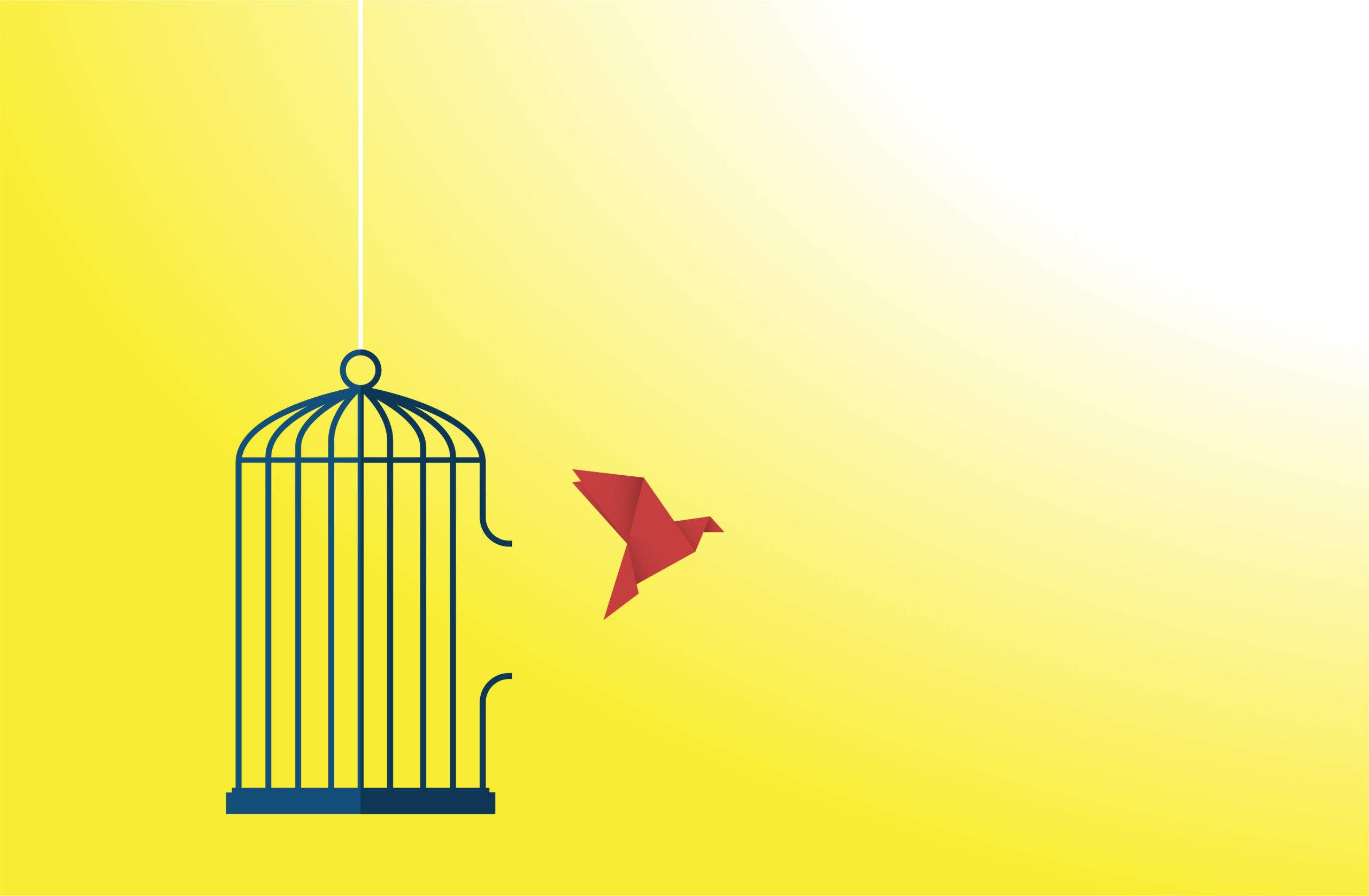 The Freedom Practice: Break Free from Negative Thinking