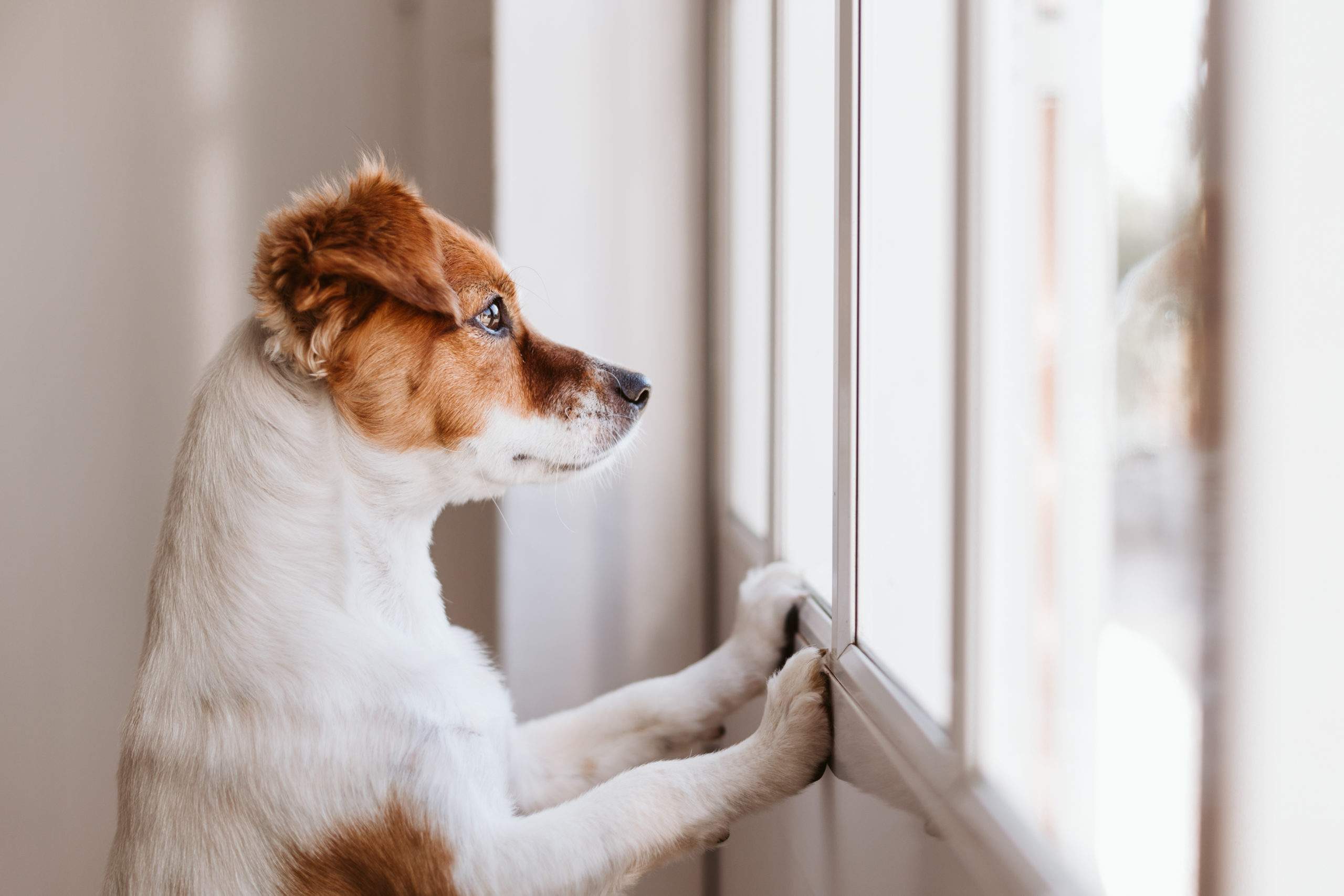 The Power of Patience: Finding Gifts in Waiting