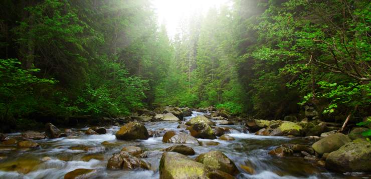 The Power of Pausing: How to Improve Self-Control