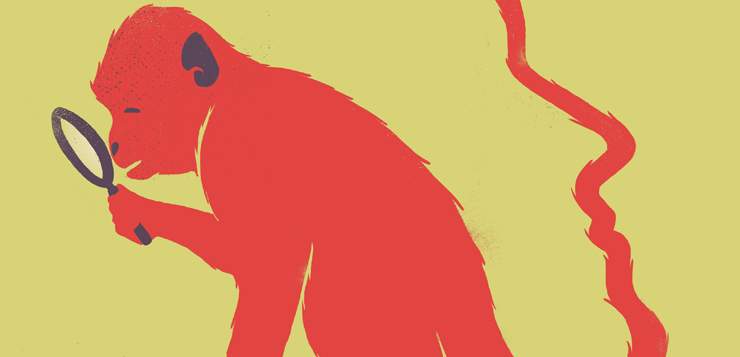 The Science of Curiosity: Why We Crave Knowledge