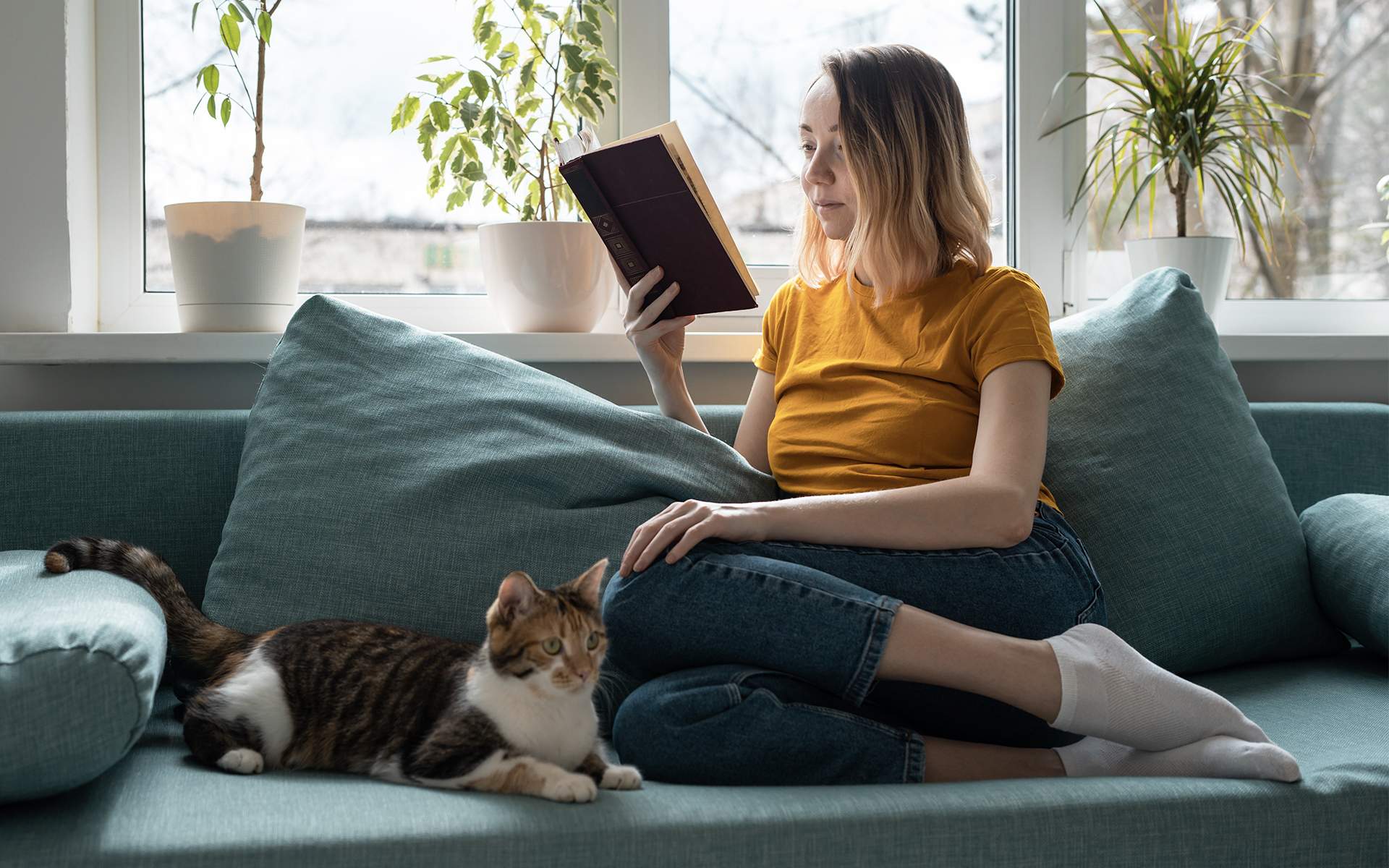Top 10 Mindfulness Books for Personal Growth & Healing