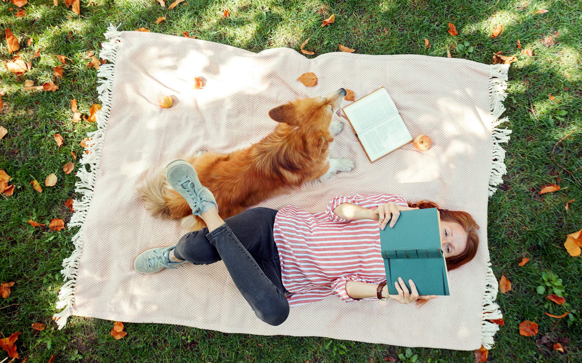 Top 5 Mindfulness Books for Self-Care & Growth