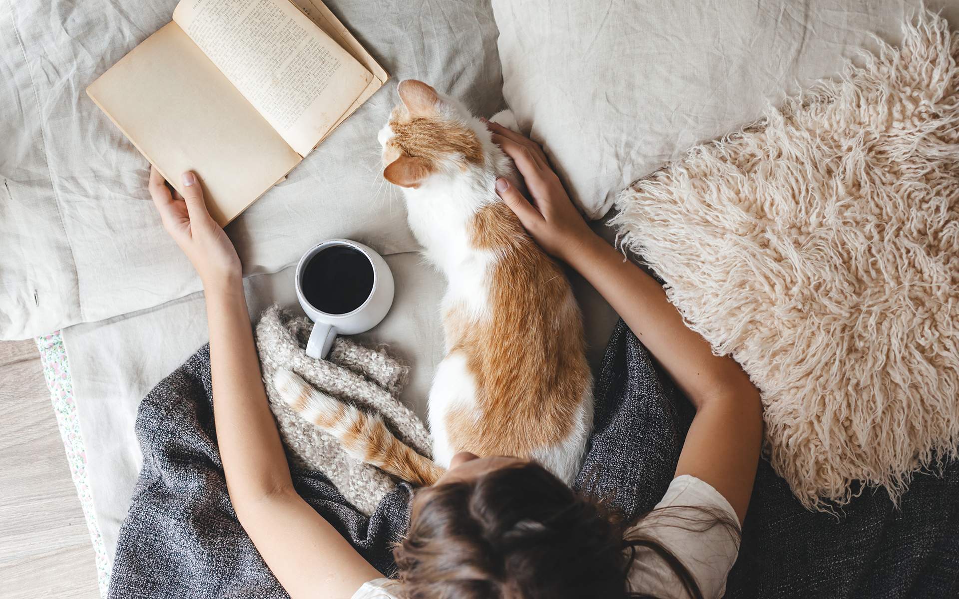 Top 5 Mindfulness Books & Podcasts for Fall