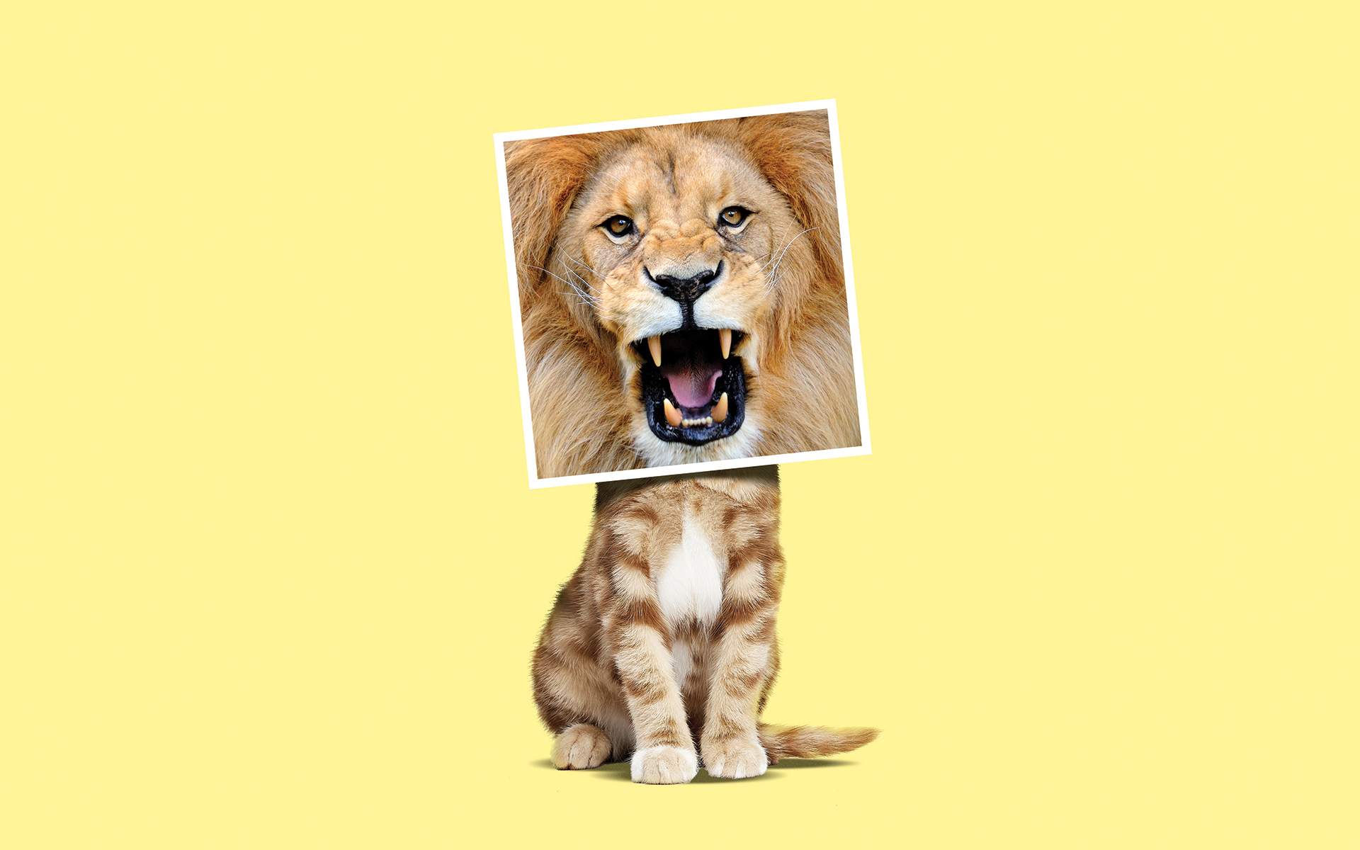 Understanding the Hot-Cold Empathy Gap in Psychology